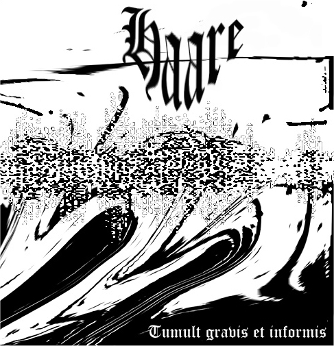 haare.jpg (197564 bytes)