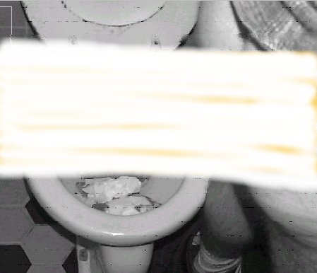 trash.jpg (22694 bytes)