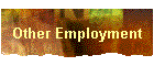 Other Employment