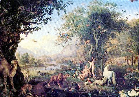 ¿Es la Ciudad de Paraíso, purrfecto?