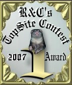 R&C's TopSite 
Contest 1st Place Award November 2007