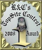 R&C's TopSite Contest  1st Place Award February 2008