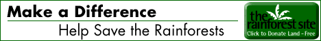 Make a Difference<br>
Help Save the Rainforests
