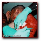 [Click to enlarge image]