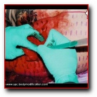 [Click to enlarge image]