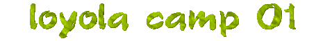 loyola university chicago fall 2001 camp