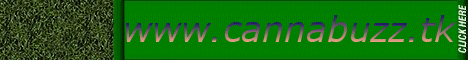 www.cannabuzz.tk
