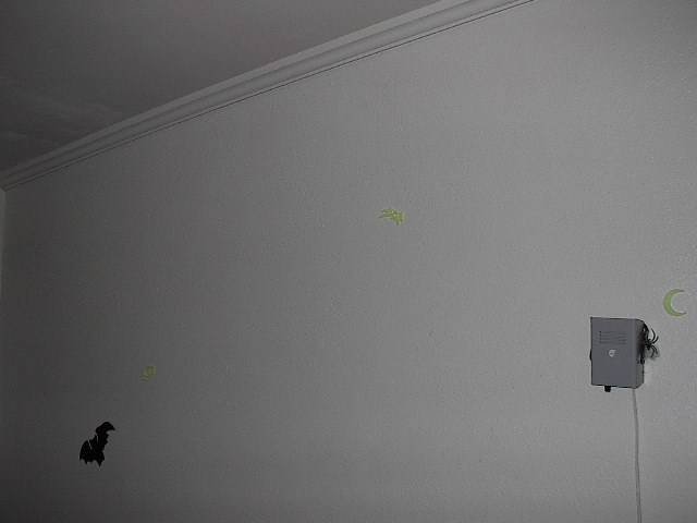 Click to see next picture