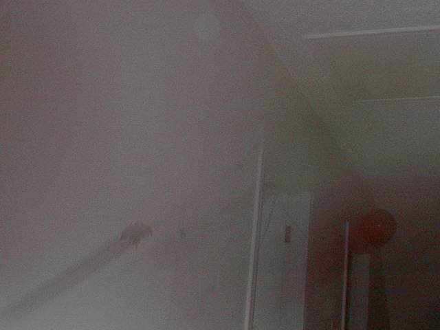 Click to see next picture