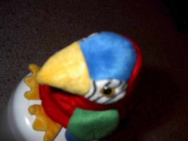 Click to see next picture