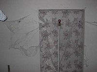 Click to see big picture (640x480 pixels; 48 KB)