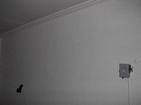 Click to see big picture (640x480 pixels; 23 KB)