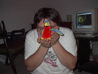 Click to see big picture (640x480 pixels; 53 KB)