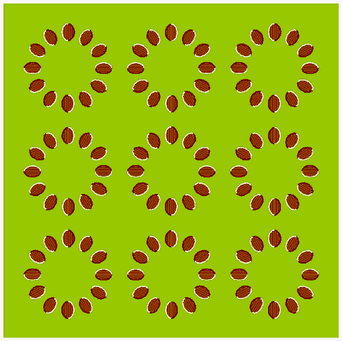 Click to see next picture