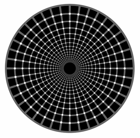 Click to see next picture