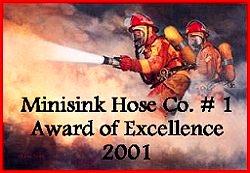 Minisink Hose Award of Excellence