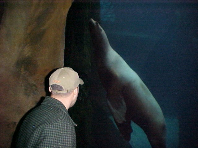 Doug & the Sealion....I got money on the sealion!