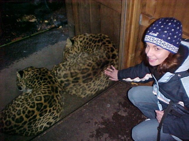 Sarah and the leopards--you wanna pull back a bloody stub or what?!
