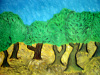 Olive Grove