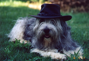 ����, ��� ���� ���� ��� ������!