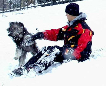 ��� ������� ����