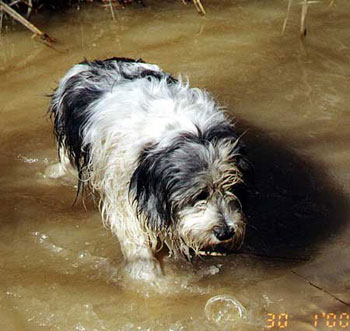 �'�� ����