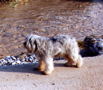 ���� �� �� ����