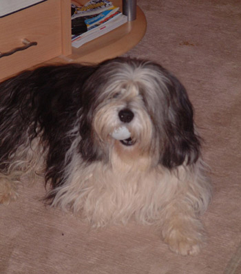 �������