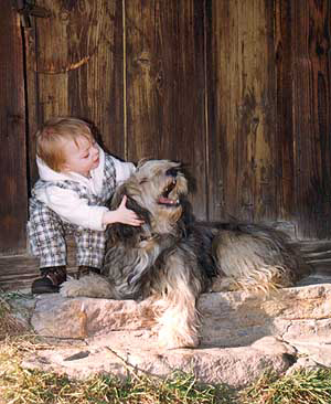 ��� �� �����