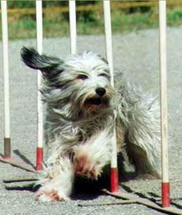 ��� ������ ������ ��'�����