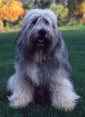 ���� ����