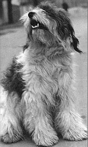 ���� ��� �� ���� 