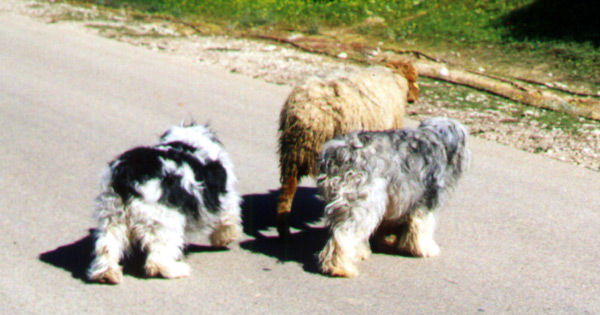 ���� ��'�� ������� ���� �� ����� �����