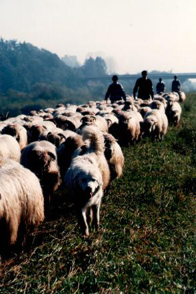 ���� ���� �� ����