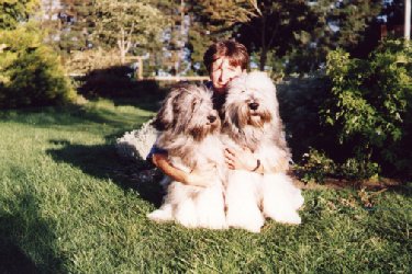  ����, ����� �������