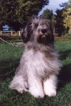  ����� ����������  22.10.96