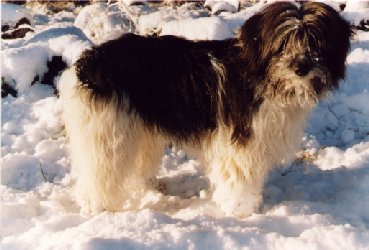  19.03.93 ����� ���������'