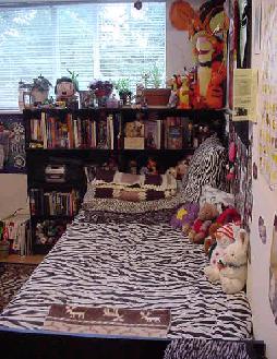 Wow, so this is where I sleep. Cool.