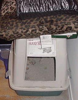 This is where my cat does his business. Hmm...looks like it needs to be cleaned.