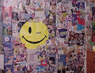 This is actually my closet. It is hard to tell because my collage has spread and covered it.
