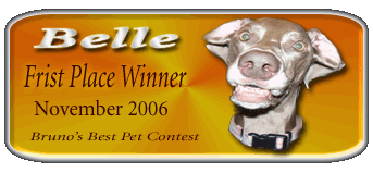 Belle Nov. 2006 First Place Winner