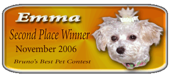Emma...Nov. 2006 Second Place