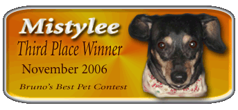 Mistylee..Nov. 2006 Third Place