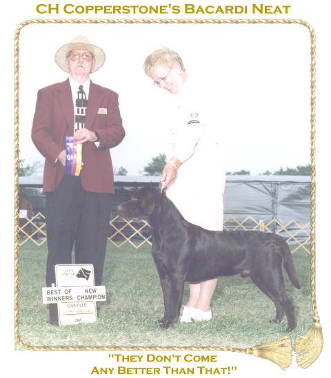 Ripley with Handler Lory Ross