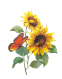 Curious what this means ?
Just click on the sunflower ok ?