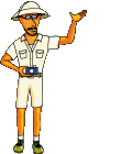Joe Safari