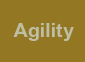 Agility