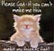 Cat Prayer