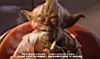 yoda.jpg