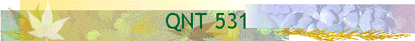 QNT 531